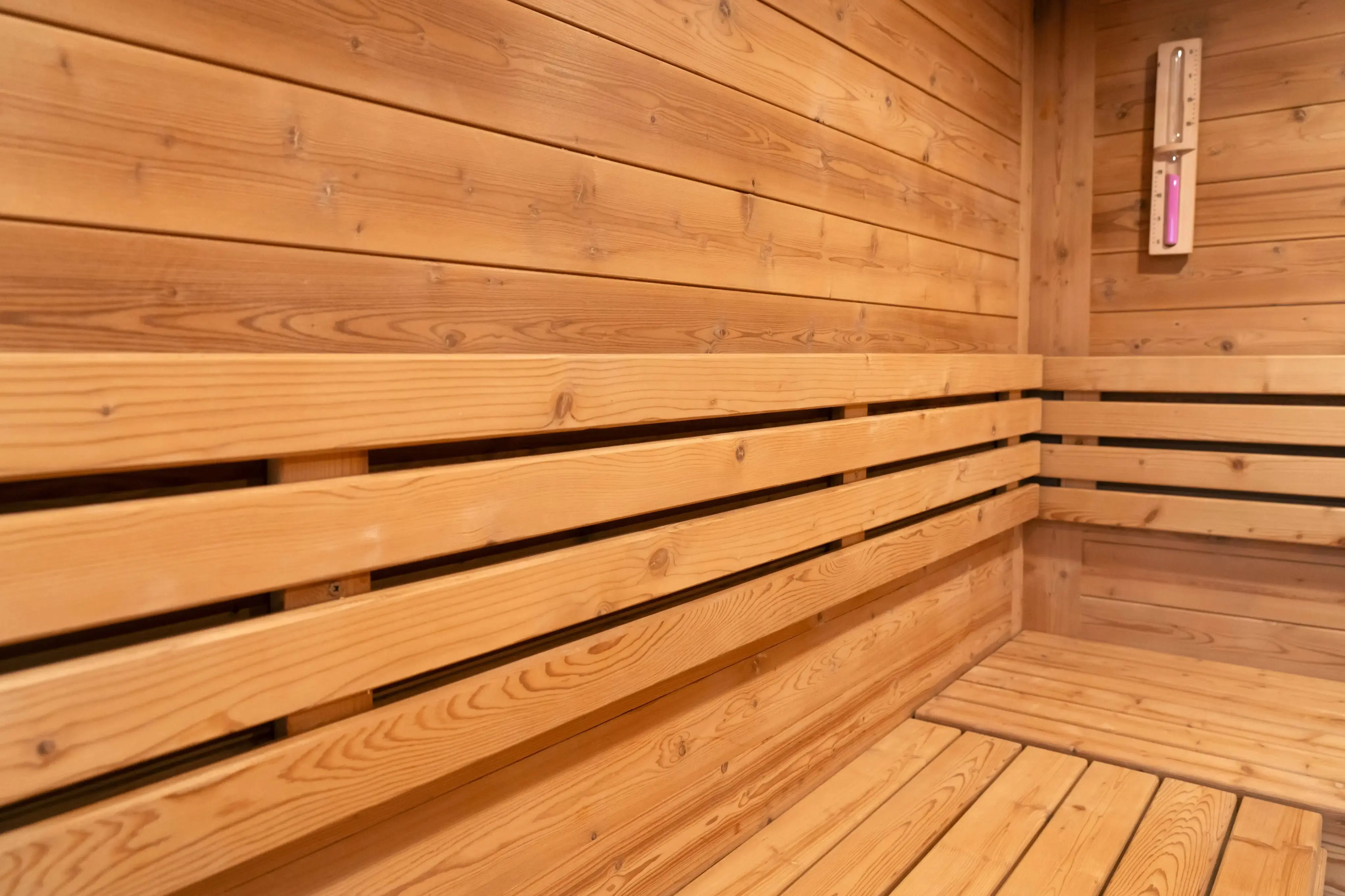 Nelio - Modern Sauna - Image 10